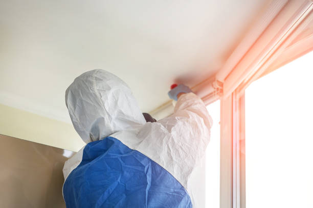 Best Mold Remediation for Healthcare Facilities  in Tahoma, CA