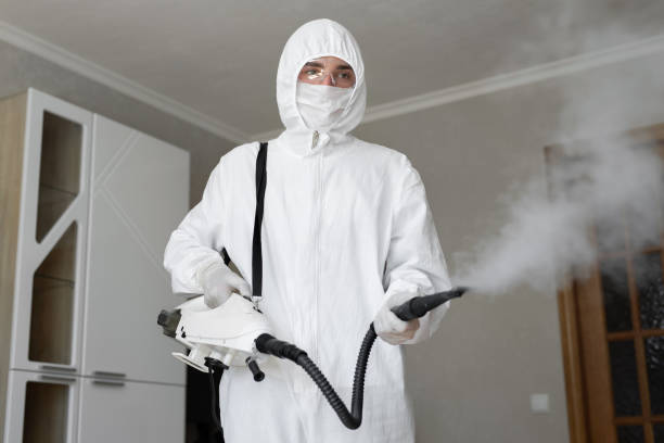 Best Attic Mold Removal  in Tahoma, CA