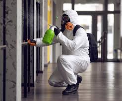 Best Asbestos and Lead Testing During Mold Inspection  in Tahoma, CA